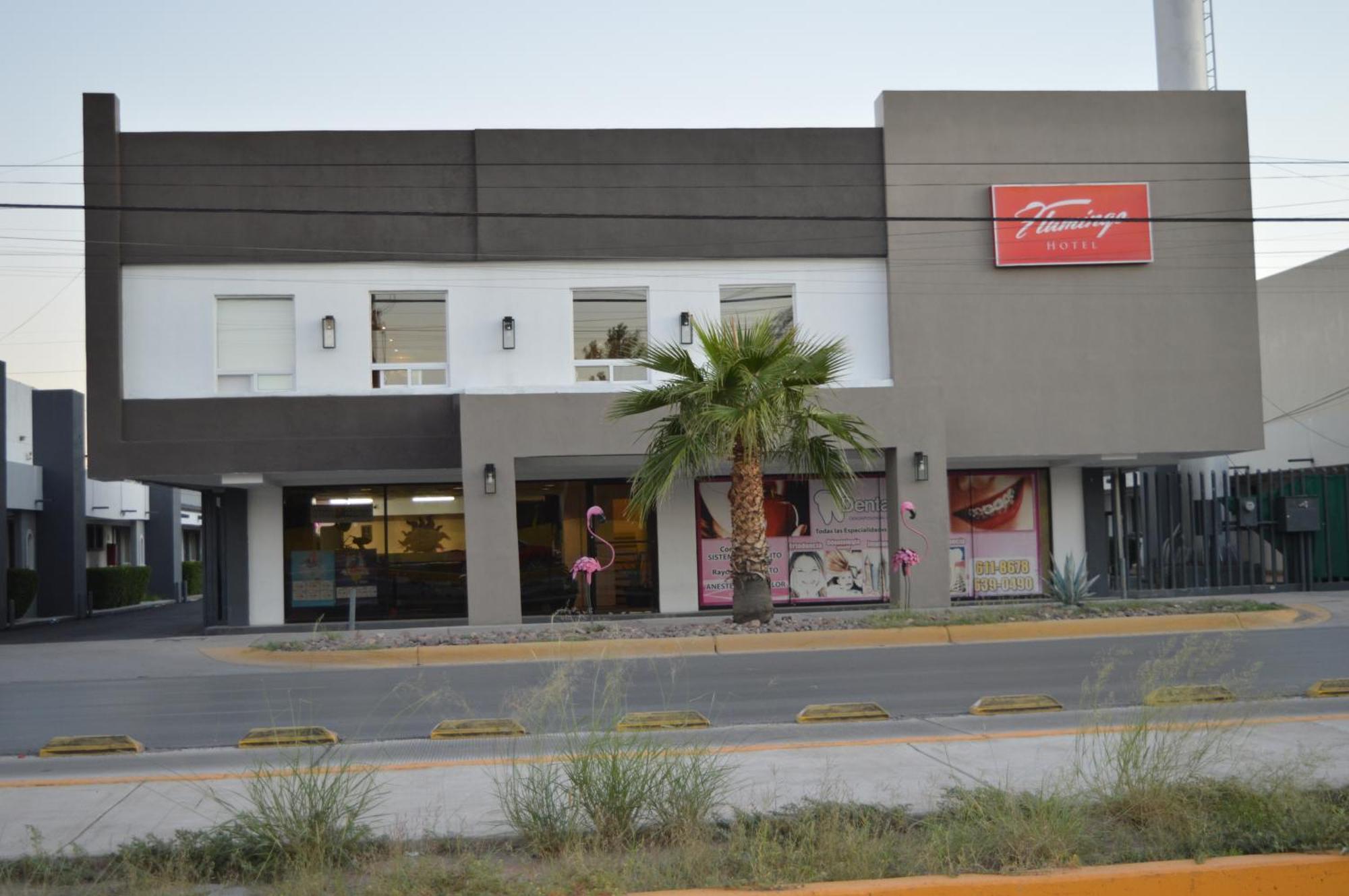 סיודאד חוארס Hotel Flamingo מראה חיצוני תמונה
